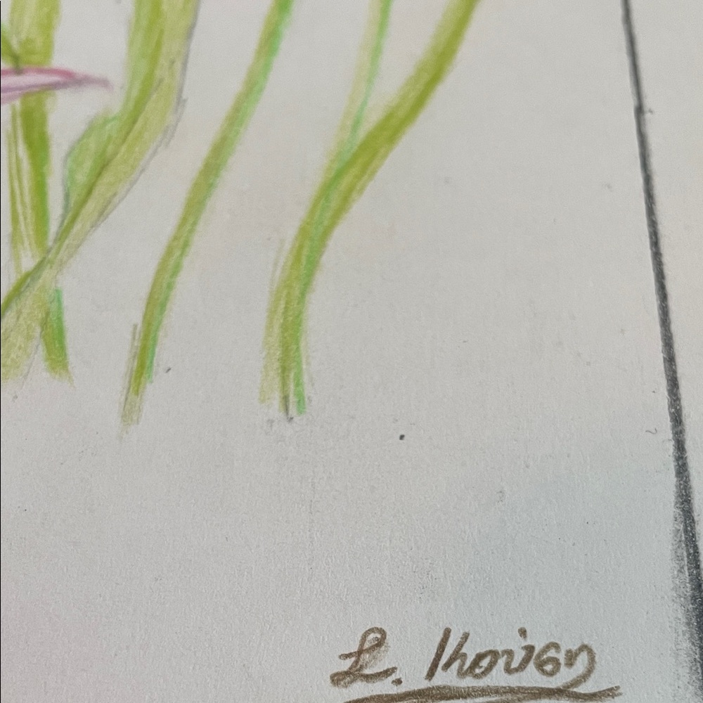 Original Floral Art with Pink and Green Accents Signed By Artist L Kousy - Picture 6 of 9